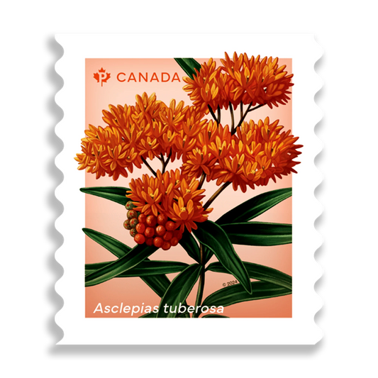 Wildflowers coil of 50 Permanent stamps